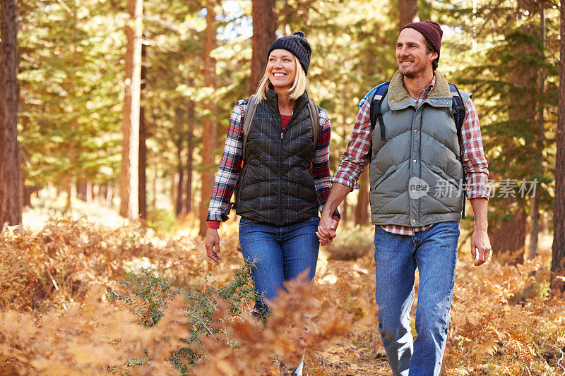 在美国加州的森林里牵手散步的夫妇