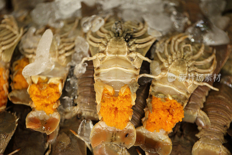 螳螂虾-虾蛄-配鱼卵，新鲜海鲜。