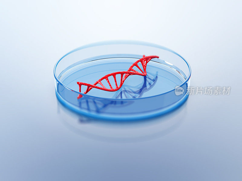 培养皿中的DNA结构。