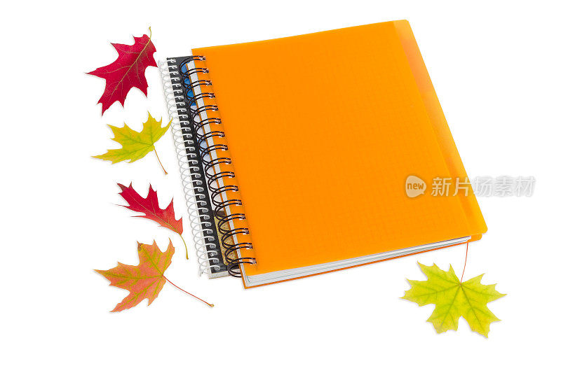 两本笔记本和几片秋叶