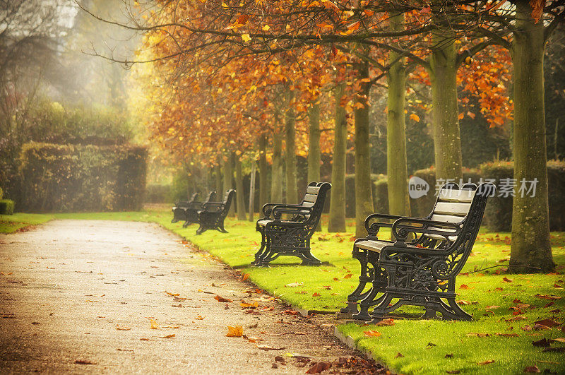 秋天公园里的长椅