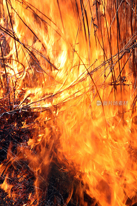 草着火了