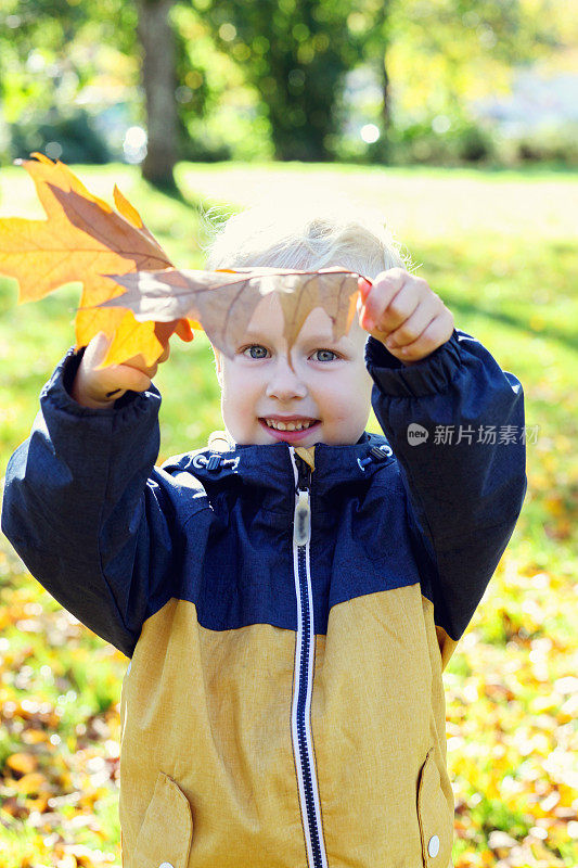 男孩玩秋天的树叶