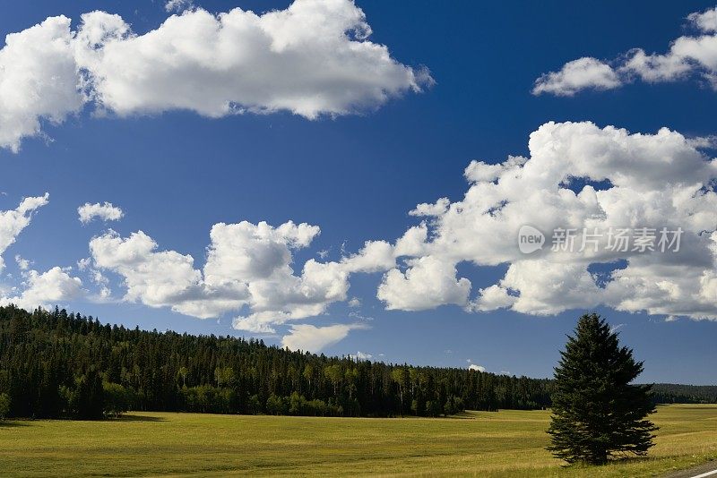 亚利桑那州北部风景