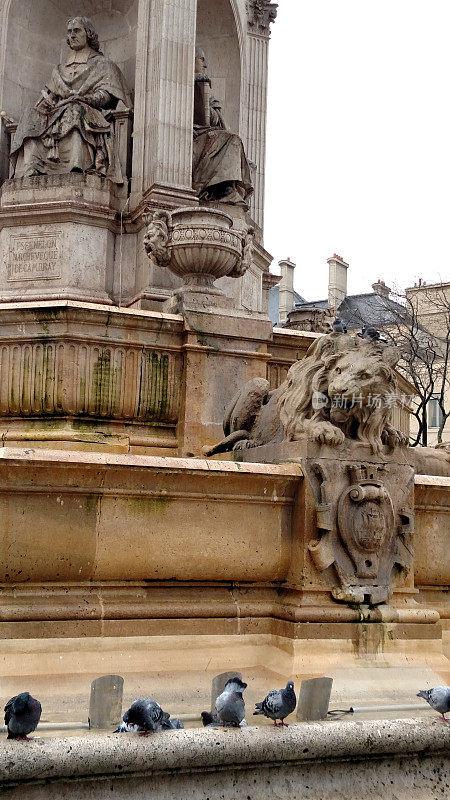 法国巴黎圣叙尔皮斯广场喷泉雕塑上的鸽子