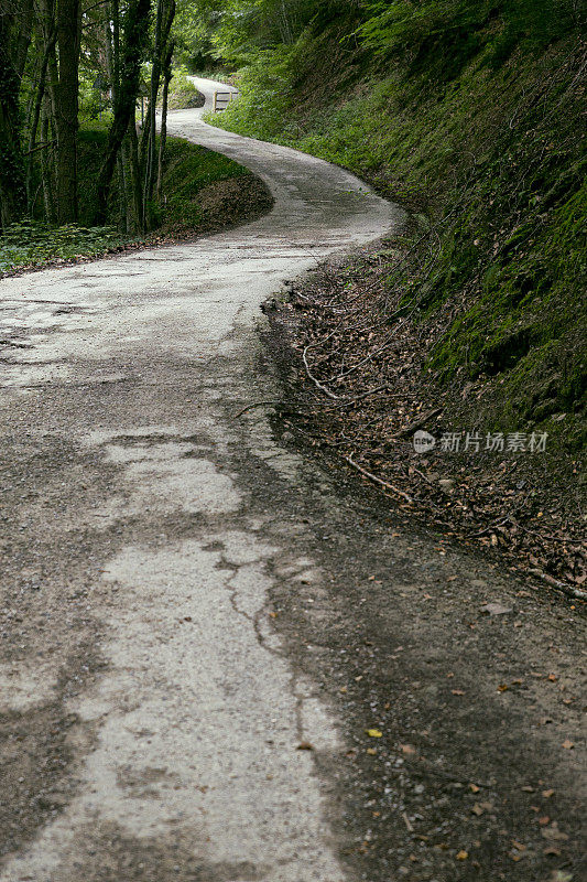 加泰罗尼亚山林路一瞥