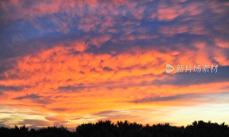 夕阳在卡纳维拉尔国家海岸，沃卢西亚县，佛罗里达州