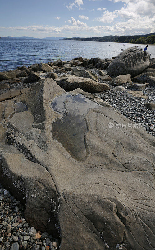 加拿大不列颠哥伦比亚省西海岸海滩上的侵蚀砂岩