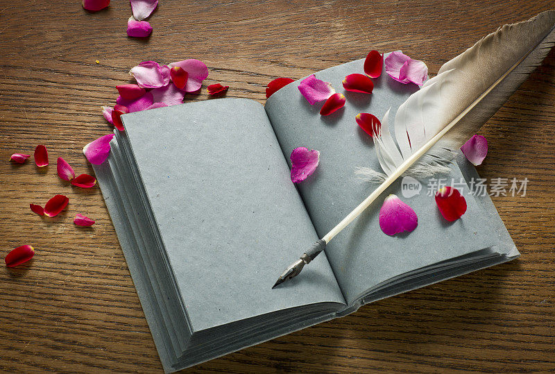 用羽毛笔和玫瑰花瓣打开书。