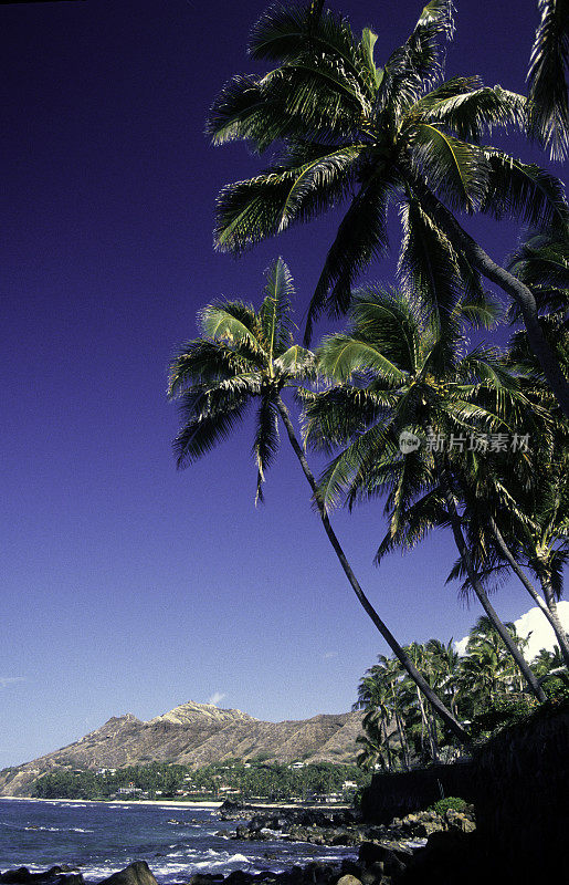 美国夏威夷瓦胡岛，海岸线和钻石角。