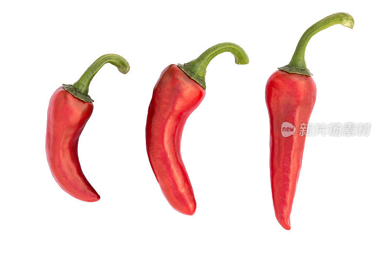 红辣椒:流行的法国红辣椒孤立在白辣椒上