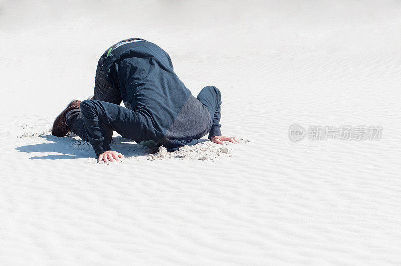 年轻的雄性把头埋在沙子里