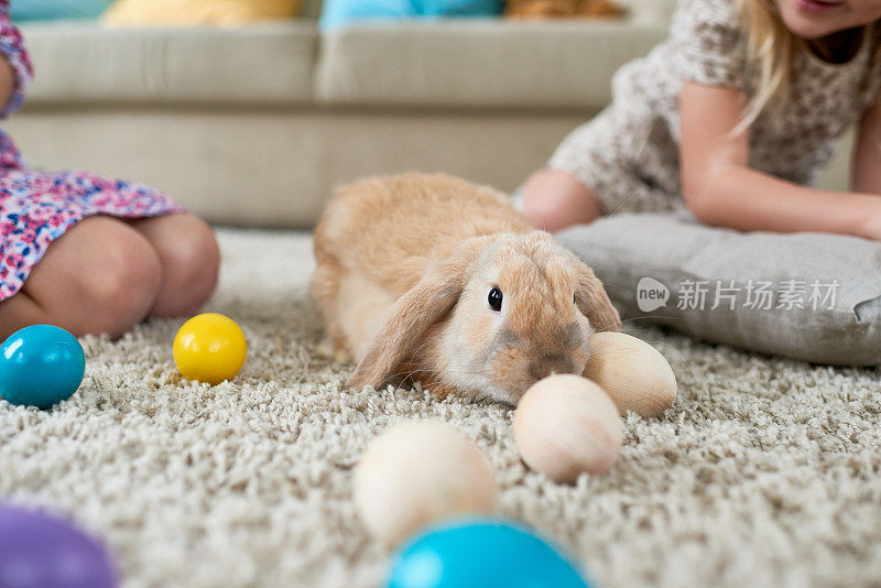 可爱的兔子在复活节彩蛋中