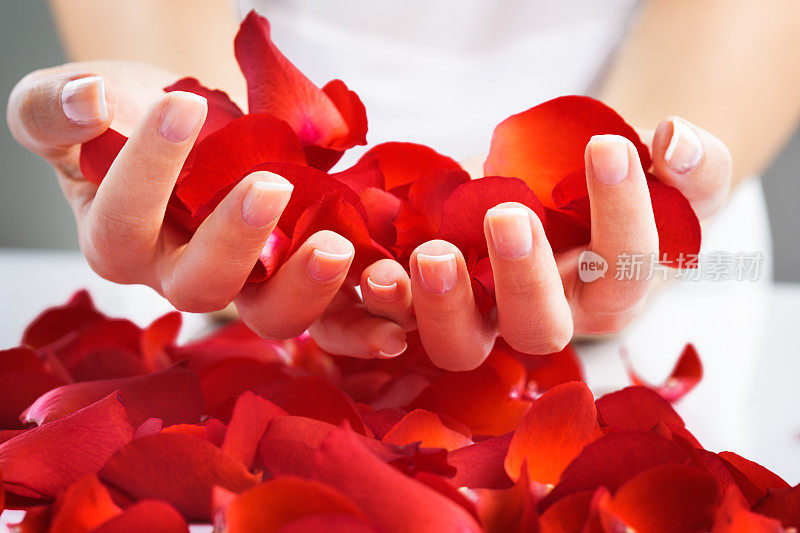 玫瑰花瓣和修剪过的指甲