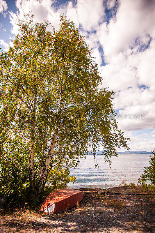 挪威，树下的小船