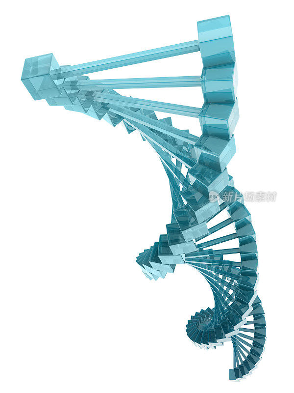 玻璃的DNA模型。