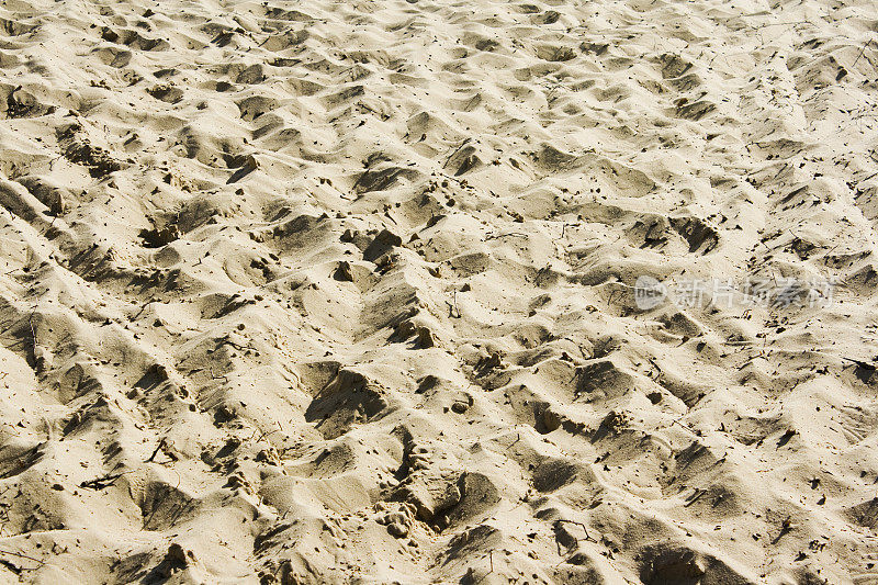 沙丘砂