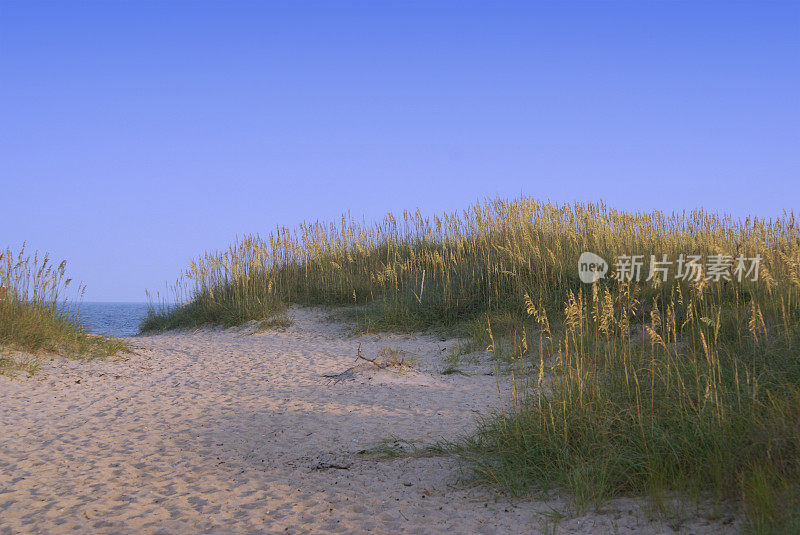 海滩场景