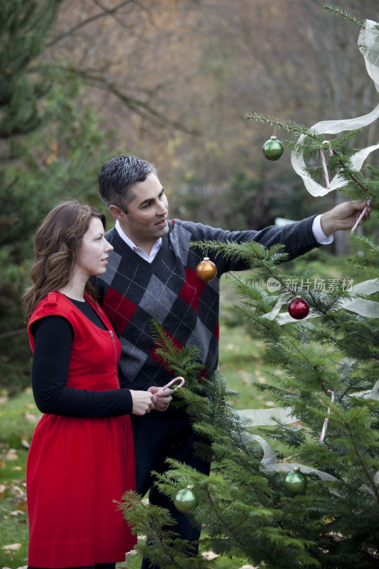 丈夫和妻子装饰室外圣诞树