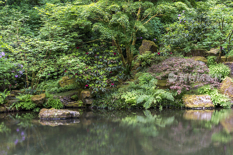 池塘岸波特兰日本花园在俄勒冈州