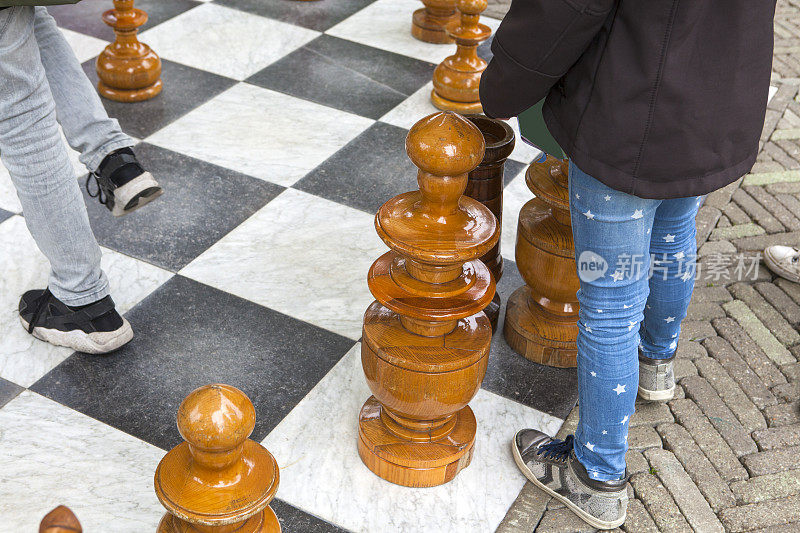 领域国际象棋