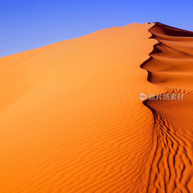 沙丘摩洛哥沙漠