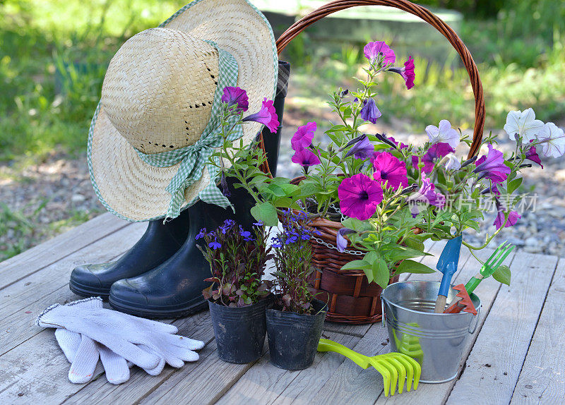 花园静物生活与矮牵牛花，靴子，草帽和工具
