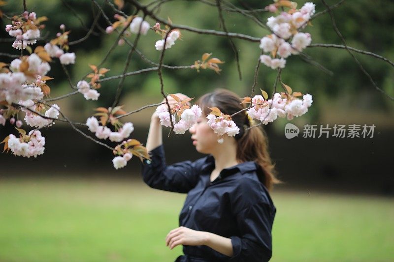 年轻女子欣赏樱花