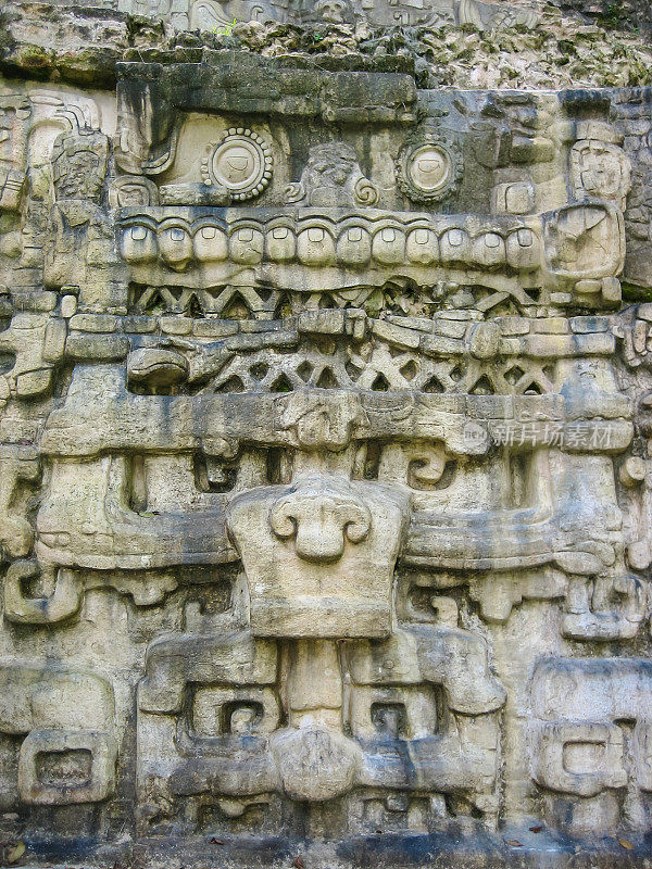 在伯利兹卡约卡拉科尔遗址的玛雅浮雕