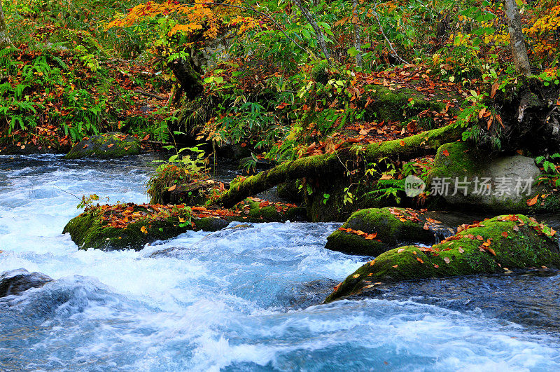 日本青森市秋天的磐濑山溪