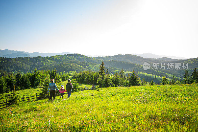 一家人在绿色的夏日草地上