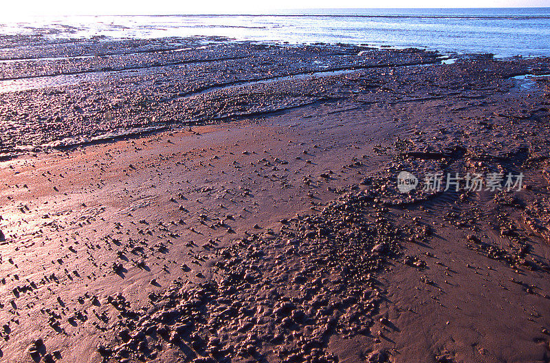 大西洋上南美洲南巴西大河段沿岸河口的水流和潮汐侵蚀形成的泥球