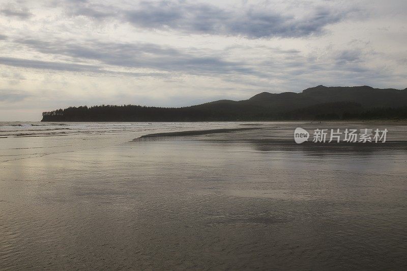 低潮池，天空反射，奥林匹克国家公园海滩，华盛顿