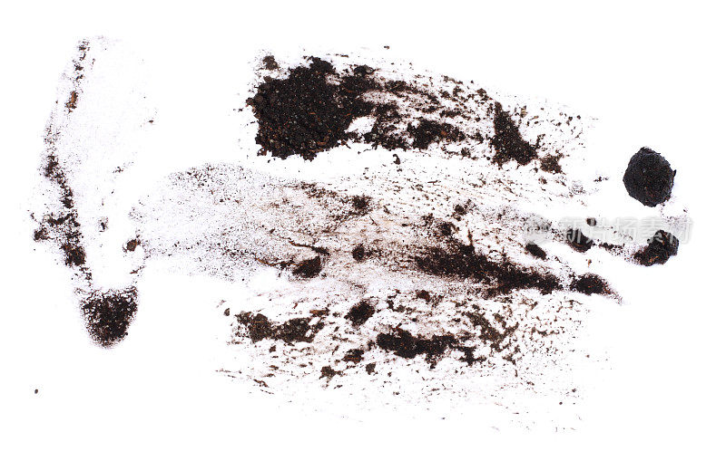 泥浆滴喷洒孤立的白色背景，与剪切路径