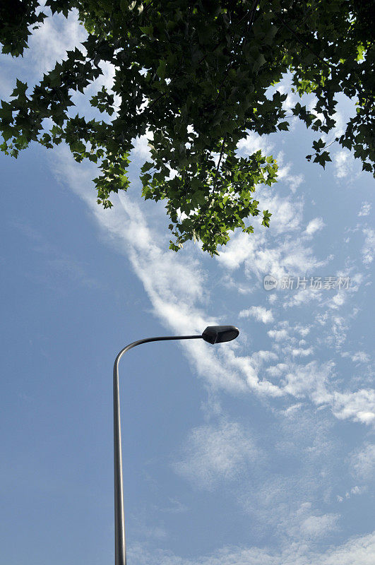 低角度的街灯对天空