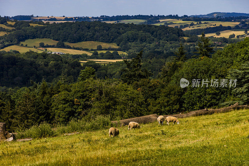 赫里福德郡起伏的丘陵和农业景观、山谷和田野自然风景