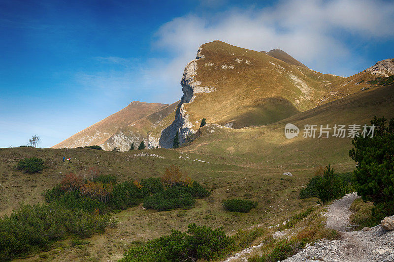 绿峰出来