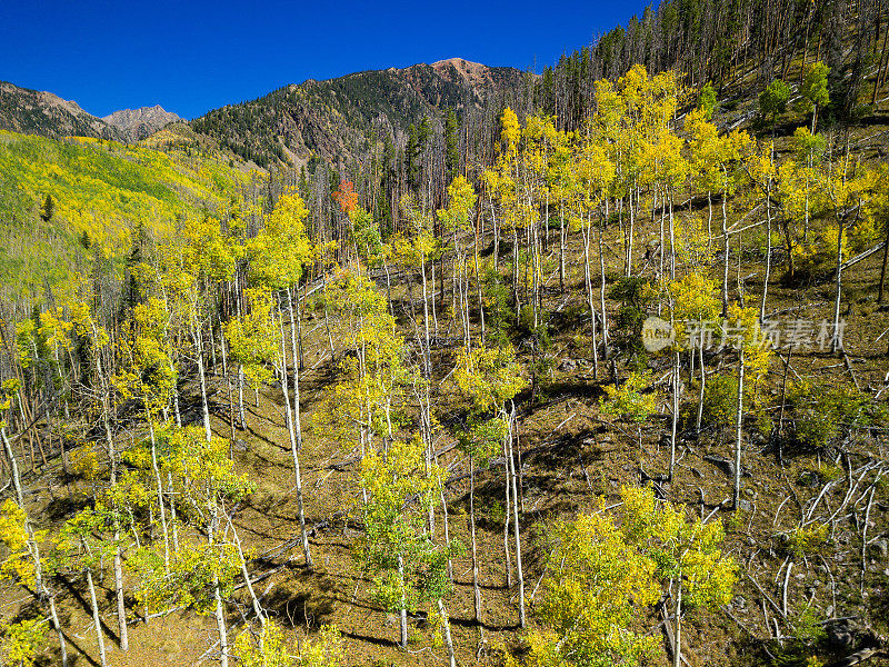 戈尔范围秋天的颜色山景在韦尔科罗拉多州