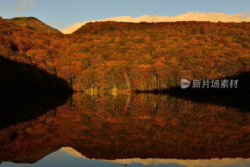 晨光的Tsuta-numa(沼泽)，和田市，日本东北部