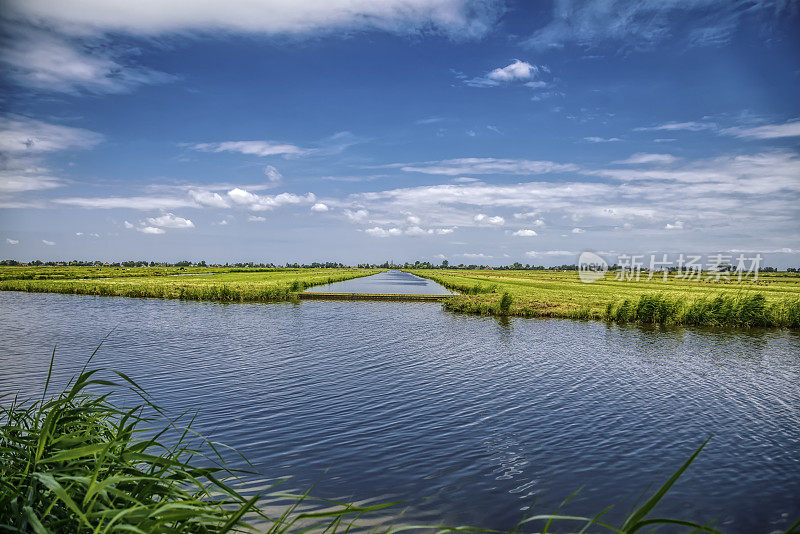 荷兰圩田的夏天(HDRi)