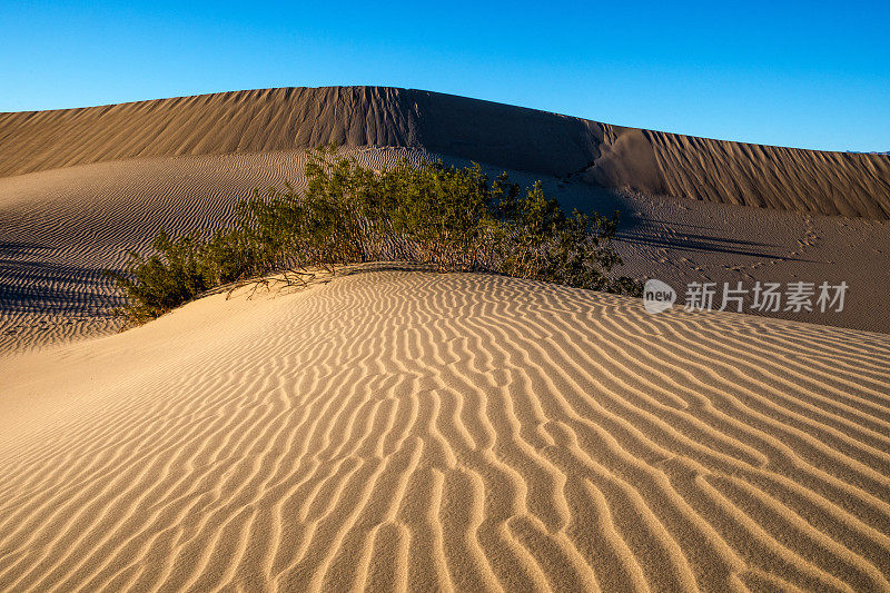 牧豆树平原沙丘与山景，死亡谷国家公园