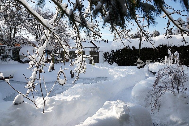 2019年1月暴风雪后的花园和池塘。巴伐利亚,德国。