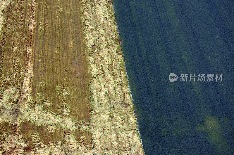 从直升机上看几何种植园