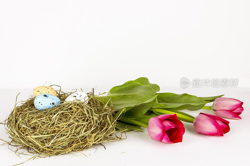 复活节郁金香和彩蛋