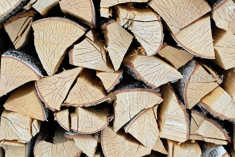 桦树的质地是劈柴，劈柴量大