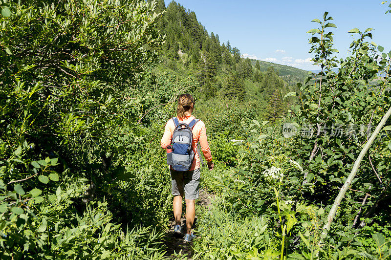 运动女性模型在山上的Timpanogos步道远足在仲夏