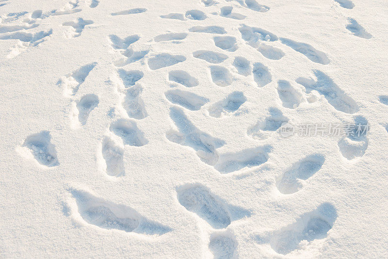 雪地里的脚印