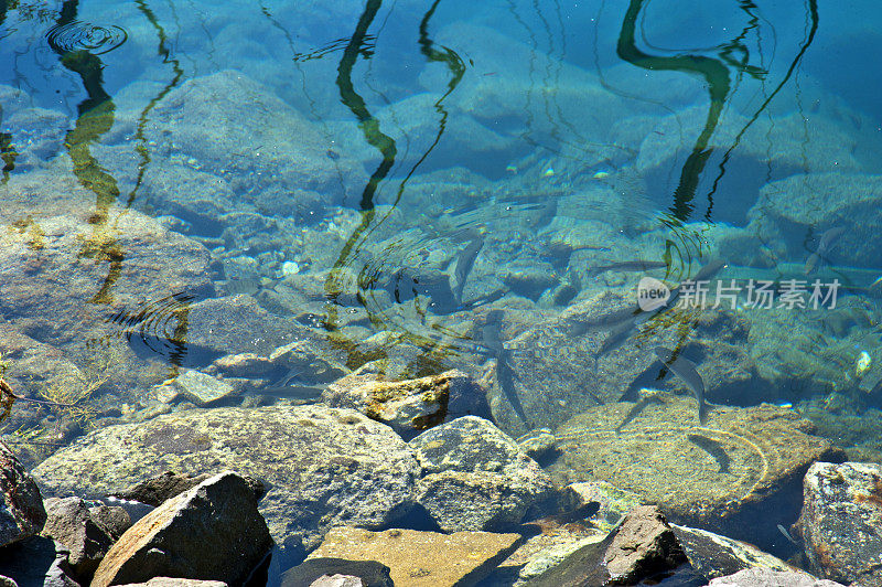 水晶水海