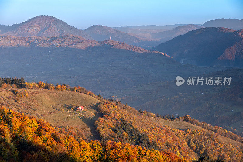 秋天的风景