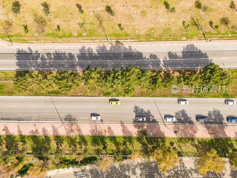 鸟瞰林地和公路。